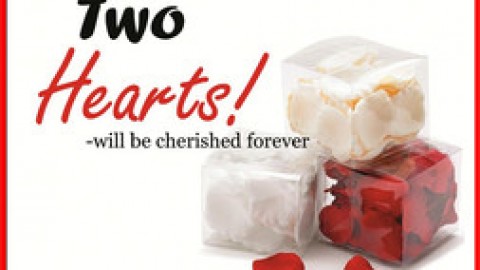 Journey of two Hearts!