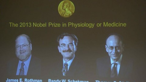 Nobel prize for medicine announced