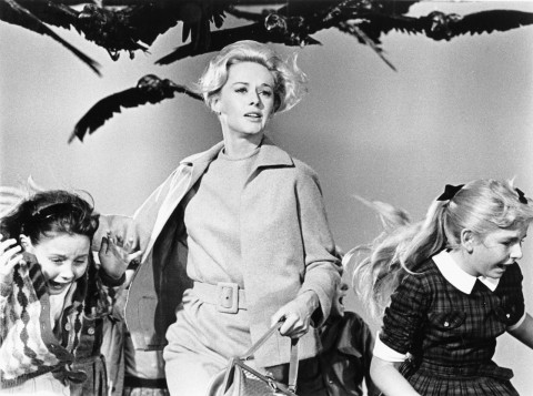 Universal To Remake “The Birds”