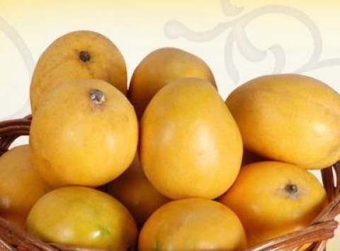 India urges EU to lift ban on mangoes