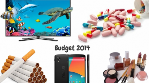 Union Budget 2014: Effects on Products