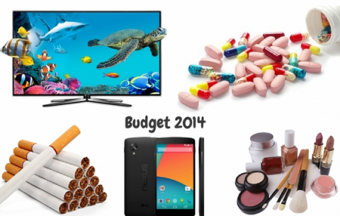 Union Budget 2014: Effects on Products