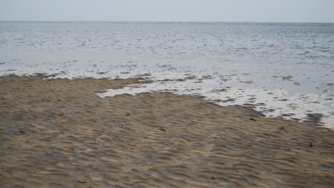 Chandipur Beach