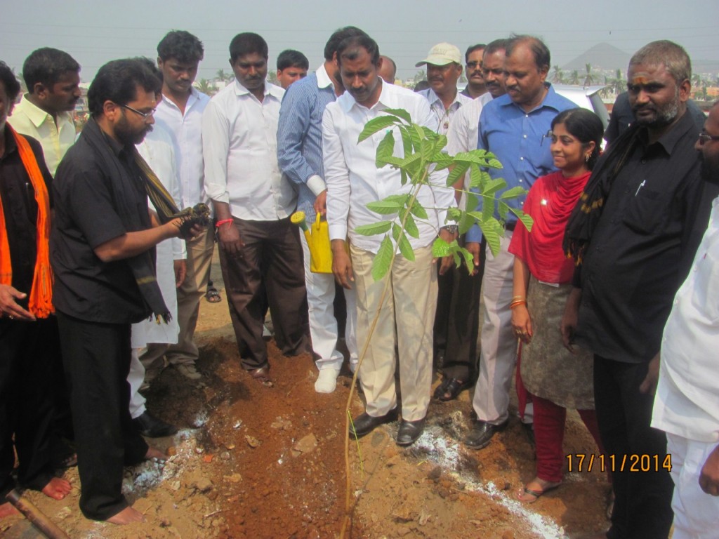 Sapling Plantation by GPL