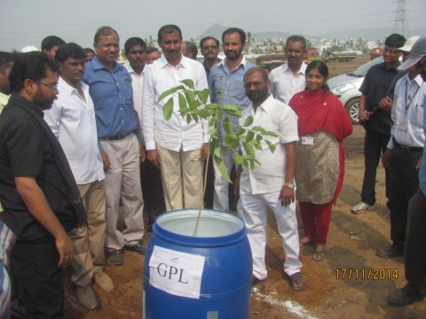 Gangavaram Port plants sapling