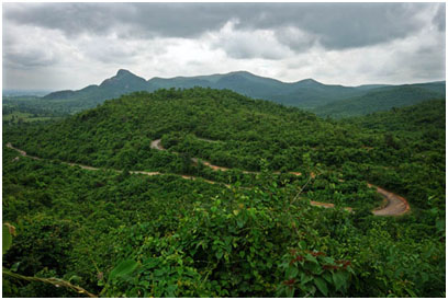 Ayodhya Hill 