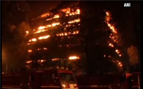 Here’s what you need to know about the fire at Delhi’s Museum of Natural History