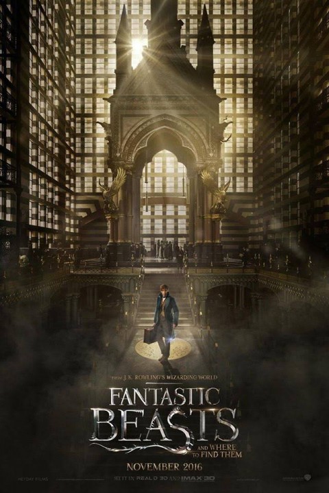 THE TRAILER OF FANTASTIC BEASTS AND WHERE TO FIND THEM IS FINALLY OUT