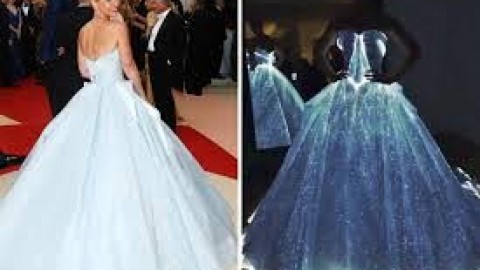 Here are the best dressed celebrities from the Met Gala Mega event