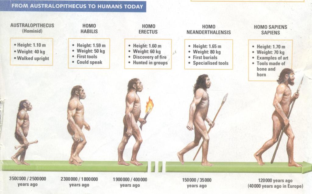 human-evolution-1-001