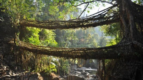 Here’s why your trip to Cherrapunji can never be worthless