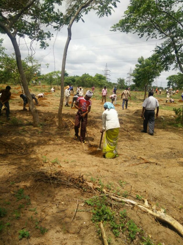 CREDAI Hyderabad Telangana Ku Haritha Haram