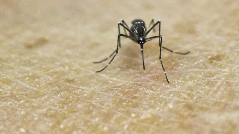 Medical emergency declared in Puerto Rico after curbing Zika virus seems out of reach