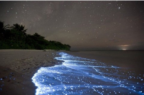 Vaadhoo Islands, Maldives: Sea of Stars