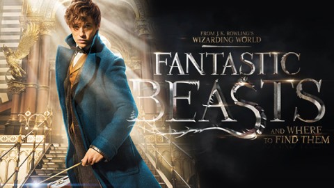 Movie Review: Fantastic Beasts and Where to Find Them