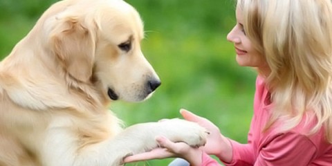 Six ways in which our pets improve our health