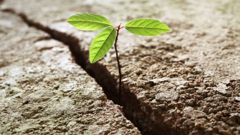 DRUG OF CHOICE- HOPE