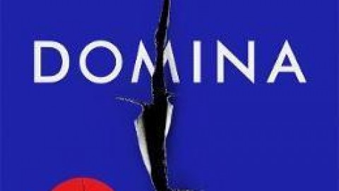Domina by L.S. Hilton