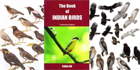The Book of Indian Birds