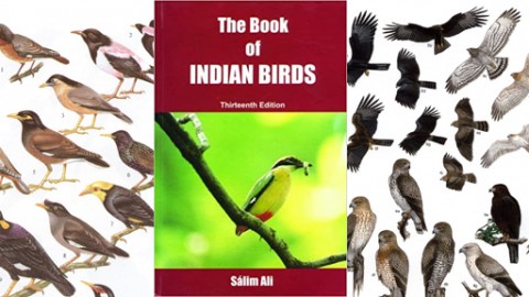 The Book of Indian Birds