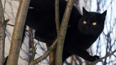 Top 10 Strange Superstitions around India