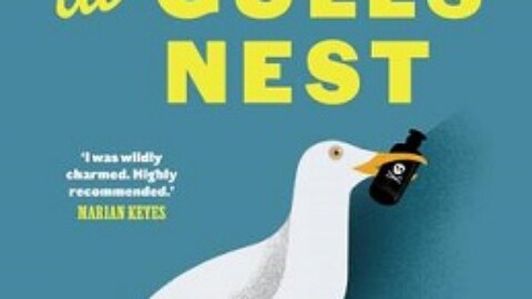 Nora Breen Investigates – Murder at Gulls Nest by Jess Kidd