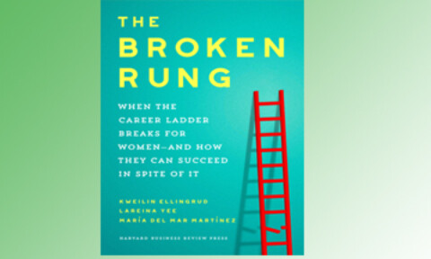 The Broken Rung by Kweilin Ellingrud