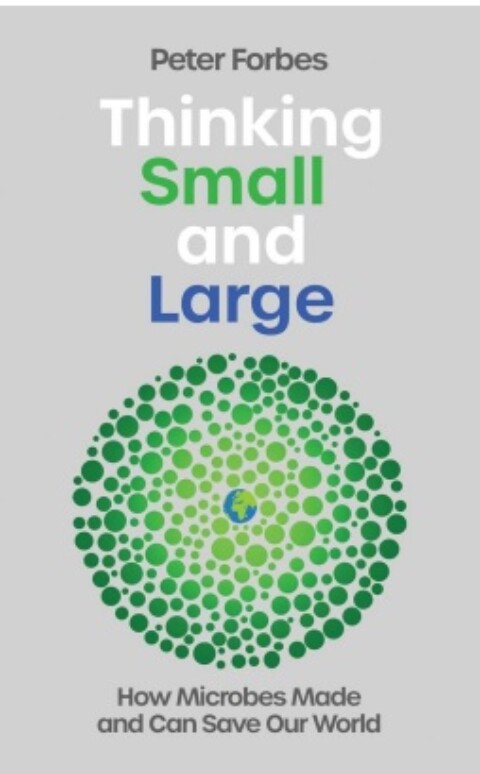 Thinking Small And Large by Peter Forbes