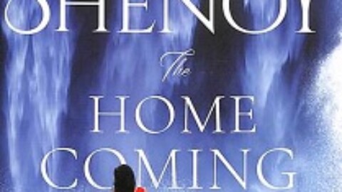 The Homecoming by Preeti Shenoy
