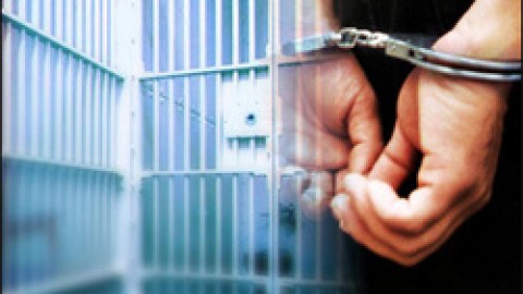 But They Are Just Juveniles… Juvenile Animals! by Rashmi Singh