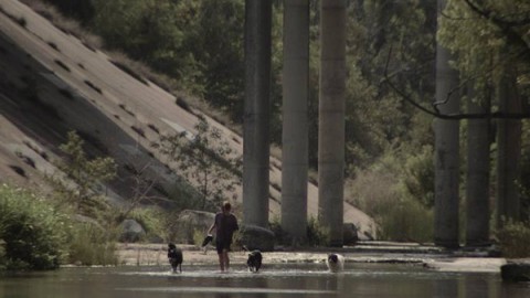 Cannes CountDown : Cinéfondation Prizes for students Announced