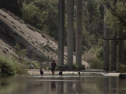 Cannes CountDown : Cinéfondation Prizes for students Announced