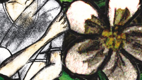 Book Review: Halfway Up The Mountain