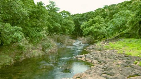 Sanjay Gandhi National Park