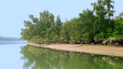 Sunderban National Park