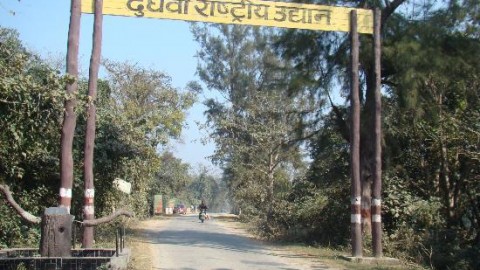 Dudhwa National Park