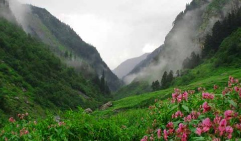 Great Himalayan National Park