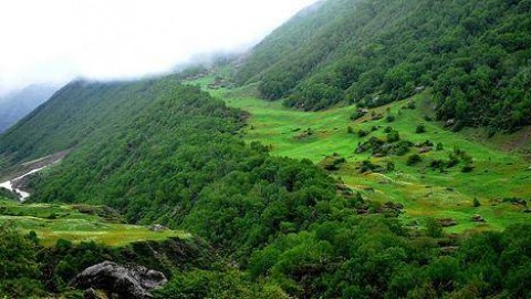 Nanda Devi National Park