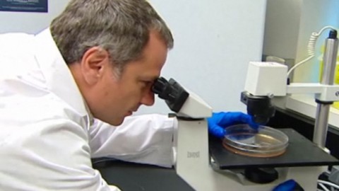 Experimental Ebola drug worked on monkeys