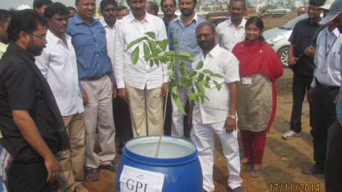 Gangavaram Port plants sapling