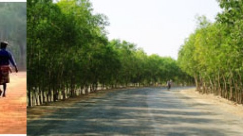 Bolpur – Footprints of Tagore