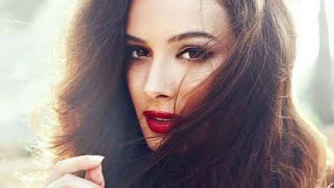 Evelyn Sharma to fly to Japan for boot camp training session