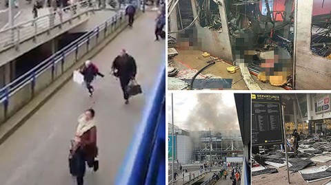 Brussels Attack: Police raids continue in Brussels, series of arrests made