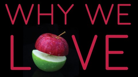 Why we love the way we do