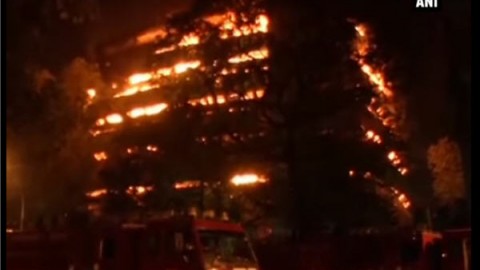 Here’s what you need to know about the fire at Delhi’s Museum of Natural History