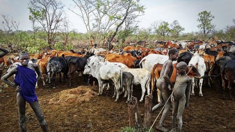 Ethiopia mourns Gambela victims, declares two days of national grieving