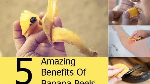 Though Banana is healthy, but its peel is Miracle!
