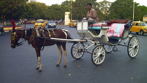 The Faded Means of Transport of India