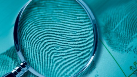 Speaking the Truth: Rapid News Rapidly Increase the Crime