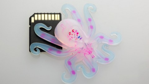 Meet the World’s First Fully Squishy Robot